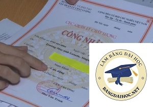 Bằng Cấp Việt Nam