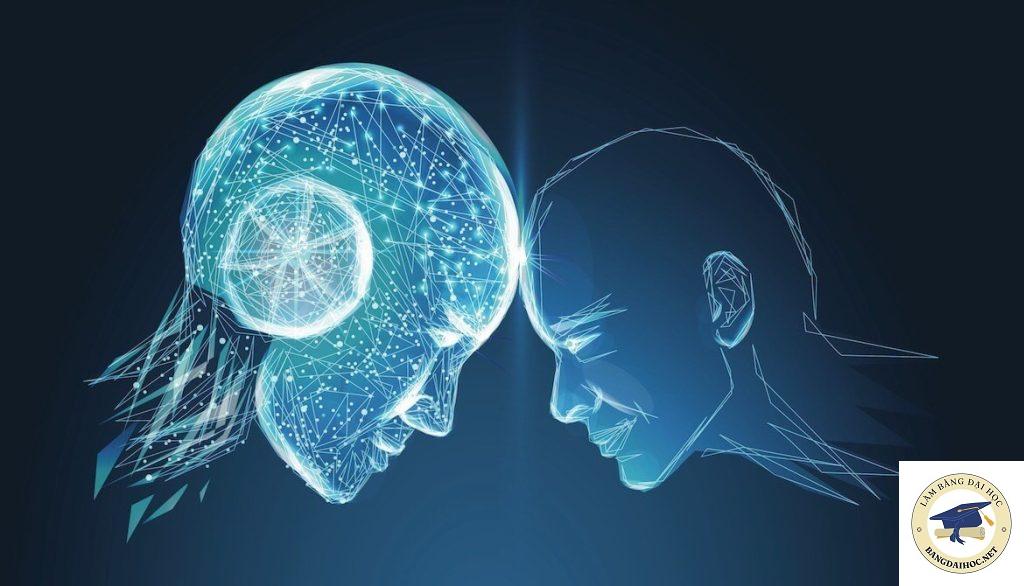 các câu hỏi thường gặp