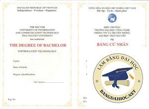 Bằng đại học 2 là gì