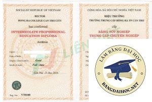 Vì sao bằng đại học vẫn quan trọng trong xã hội hiện nay