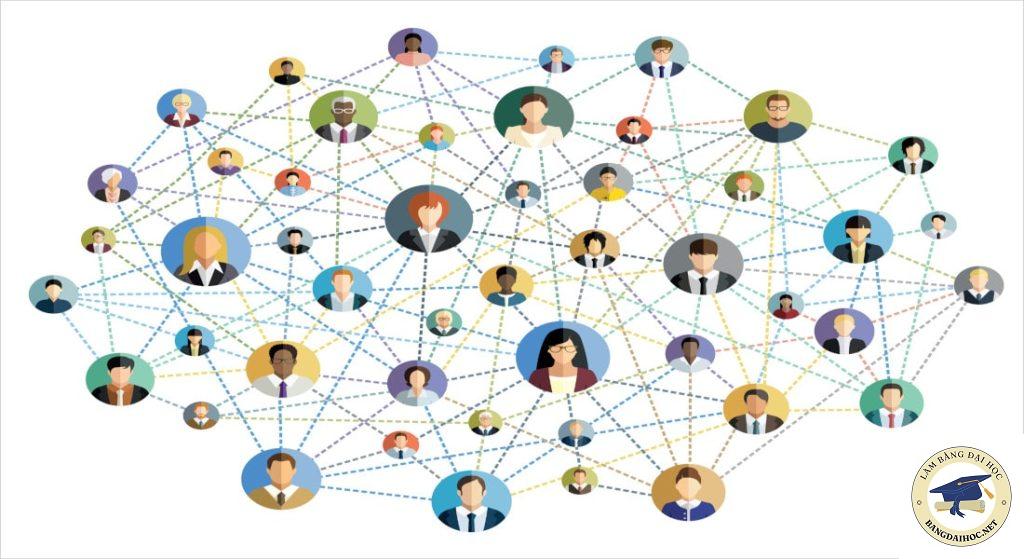 mạng lưới quan hệ